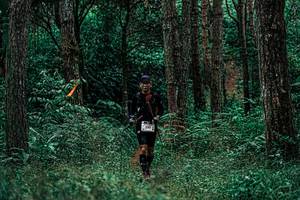 BIB: 
                            <button type="button" onclick="openModal(25237986)" class="btn btn-primary btn-sm float-right btn-popup" data-toggle="modal" data-target=".modal-high-quality">
                        <i class="fas fa-shopping-cart"></i> Add to Cart
                    </button>
                                            <button type="button" onclick="isThisMe(25237986, true)" class="btn btn-success btn-sm float-right btn-popup btn-isme hidden" data-toggle="tooltip" data-placement="bottom" title="นี่คือรูปของคุณใช่ไหม คลิกที่นี่เพื่อเอาเข้าอัลบั้ม">
                        <i class="fas fa-plus"></i> Add to album
                    </button>
                    <button type="button" onclick="isThisMe(25237986, false)" class="btn btn-warning btn-sm float-right btn-popup btn-isnotme hidden">
                        <i class="fas fa-ban"></i> Remove from album
                    </button>